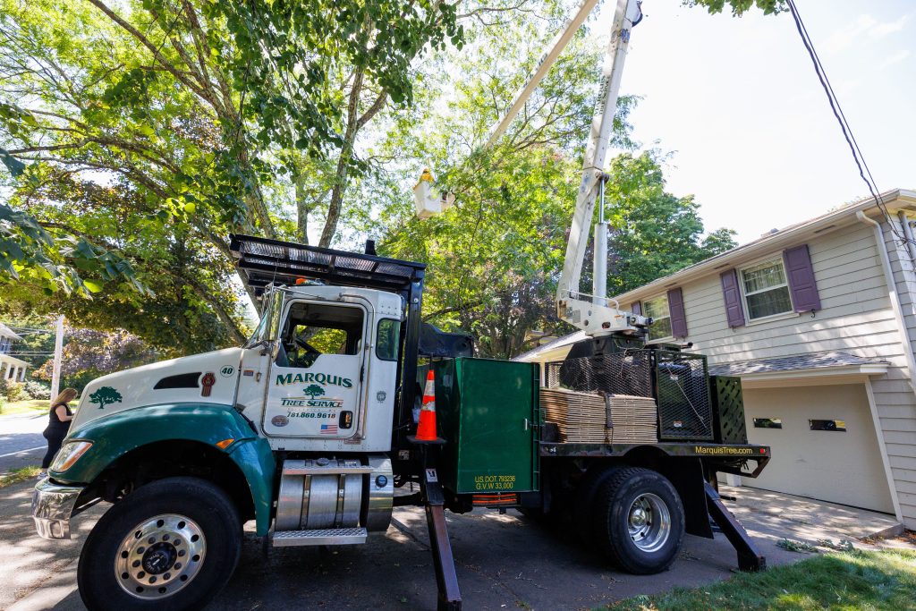 Operating a crane for tree removal