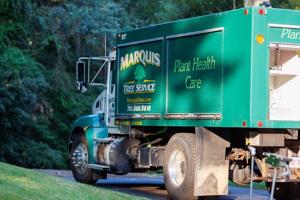 Marquis tree service truck side view